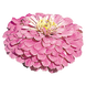 Циннія Benary's Giant Lilac pro-Benary'sGiantLilac-500 фото 1