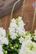 Ротики садові Twinny F1 White pro-lvizevtwif1whi-1000 фото 3