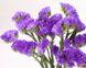 Статицa Twilight Lilac-lavender Twilight Lilaclavender фото 1