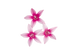 Пентас Graffiti Flirty Pink  po-GraffitiFlirtyPink-500 фото 3