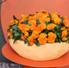 Віола рогатая Penny Pro F1 Orange pro-viorogpenf1ora-1000 фото 3