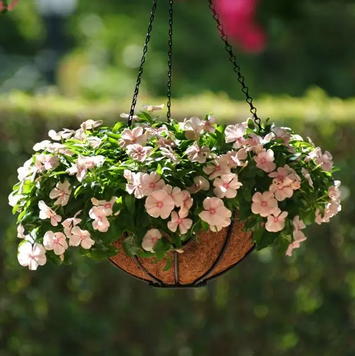 Винка Mediterranean XP Peach pro-vinmedxppea-1000 фото