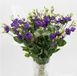 Eустома Rosita 4 Blue II New2027 pro-Rosita4Blue-1000 фото 1