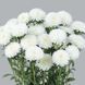Айстра Azumi XL White New2026 AzumiXLWhite-10 фото 1
