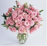 Eустома ABC F1 Deep Rose 1 pro-ABCDeepRose1-100 фото