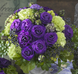 Еустома Croma F1 3 Purple New2027 pro-Croma3Purple-1000 фото 4