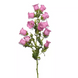 Дзвоник Campana Pink  pro-CampanaPinkI-1000 фото 3
