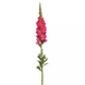 Ротики садові Monaco Dark Pink New2027 pro-MonacoDarkPink-1000 фото 2