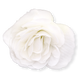 Бегонiя Nonstop F1 White NonstopWhite фото 2
