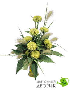 Циннія Benary's Giant Lime pro-Benary'sGiantLime-500 фото