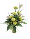 Циннія Benary's Giant Lime pro-Benary'sGiantLime-500 фото 3