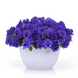 Віола Top Wave Blue Blotch pro-TopWaveBlueBlotch-100 фото 1