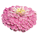 Циннія Benary's Giant Lilac Benary'sGiantLilac-10 фото 3