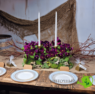 Віола Inspire DeluXXe F1 Rose Velour pro-vioinsdelrosvel-500 фото