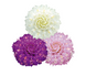 Гомфрена Buddy Mix New2027 pro-BuddyMix-1000 фото 1