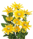 Рудбекiя Prairie Sun pro-PrairieSun-500 фото 1