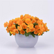 Виола Top Wave Orange  TopWaveOrange-5 фото 1