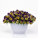 Виола Top Wave Purple Sunburst pro-TopWavePurpleSunburst-100 фото 1