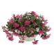 Пентас Graffiti Falls Rose  pro-GraffitiFallsRose-500 фото 1
