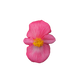 Бегония Mega Cool F1 Rose pro-MegaCoolRose-1000 фото 2