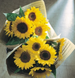 Соняшник Sunrich F1 Lemon pro-SunrichLemon-1000 фото 2