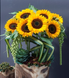 Подсолнух Sunrich F1 Orange pro-SunrichOrange-1000 фото 2