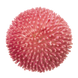 Маргаритка Tasso Pink TassoPink фото 2