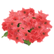 Петунія Success!360 F1 Deep Salmon  Success!360F1DeepSalmon фото 1