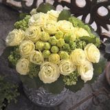 Еустома Croma F1 Yellow 3 pro-euscrof1yel3-1000 фото
