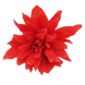 Бегонiя Funky F1 Scarlet pro-begfunf1sca-500 фото 3