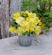 Вiола Inspire Plus F1 Lemon pro-InspirePlusLemon-500 фото 3