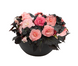 Бегония Nonstop Mocca F1 Light Pink Shades NonstopMoccaLightPinkSh фото 2