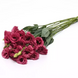 Эустома ABC F1 2 Rose pro-ABC2Rose-100 фото 2