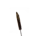 Пенисетум Inky pro-Inky-1000 фото 2