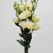 Eустома ABC F1 3 Yellow pro-ABC3Yellow-100 фото 3