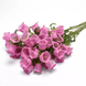 Дзвоник Campana Pink Improved New2027 pro-CampanaPinkImproved-500 фото 2