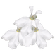 Лобелия Palace White pro-PalaceWhite-10000 фото 2