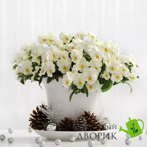 Вiола Cool Wave White pro-CoolWaveWhite-100 фото