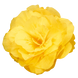 Бегонiя Nonstop Mocca F1 Yellow NonstopMoccaYellow фото 3