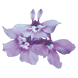 Лобелия Palace Lilac pro-lobpallil-10000 фото 2