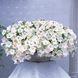 Петуния Opera Supreme F1 White OperaSupremeWhite фото 2