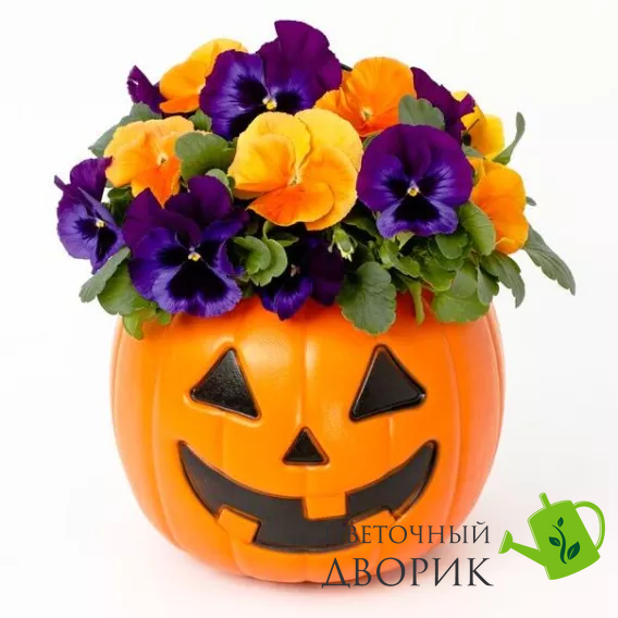 Виола Delta Pro F1 Neon Violet DeltaProNeonViolet фото