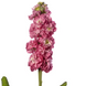 Маттиола StoX Rose Pink StoXRosePink-10 фото 1