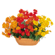 Космос Cosmic Mix pro-CosmicMix-1000 фото 1